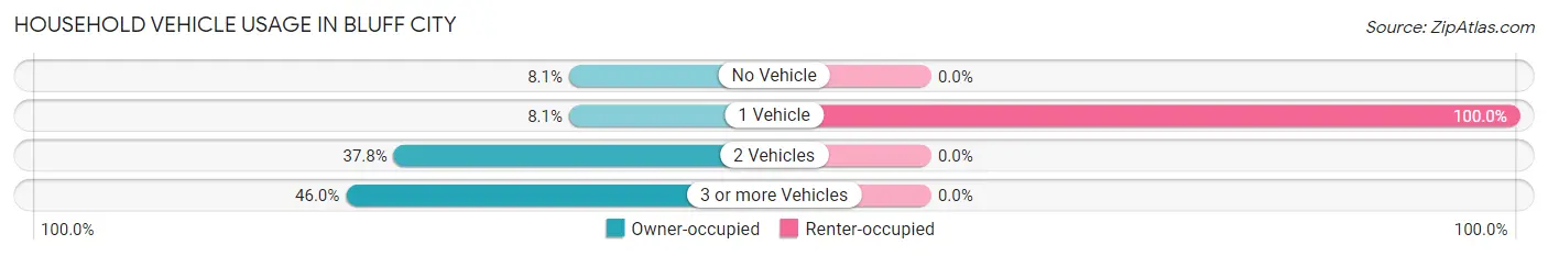 Household Vehicle Usage in Bluff City