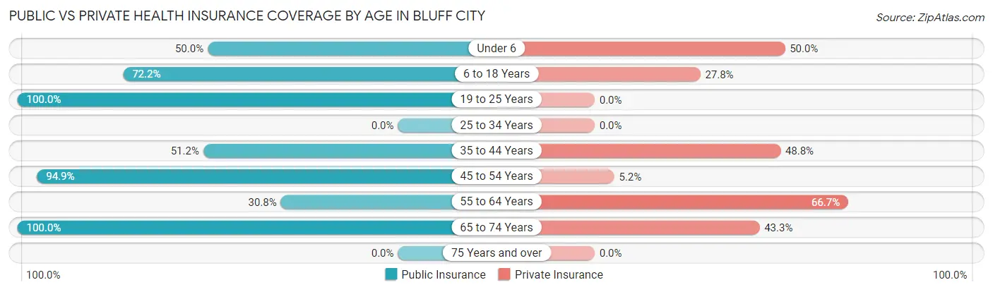 Public vs Private Health Insurance Coverage by Age in Bluff City