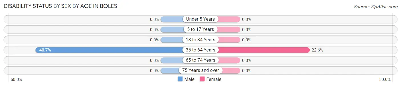 Disability Status by Sex by Age in Boles