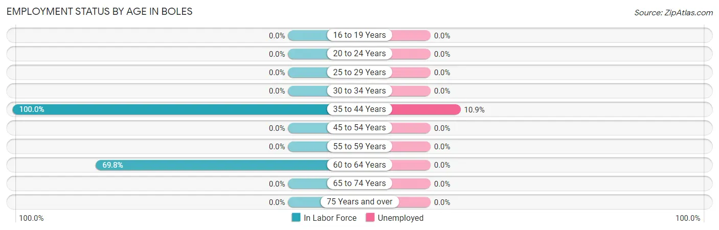 Employment Status by Age in Boles