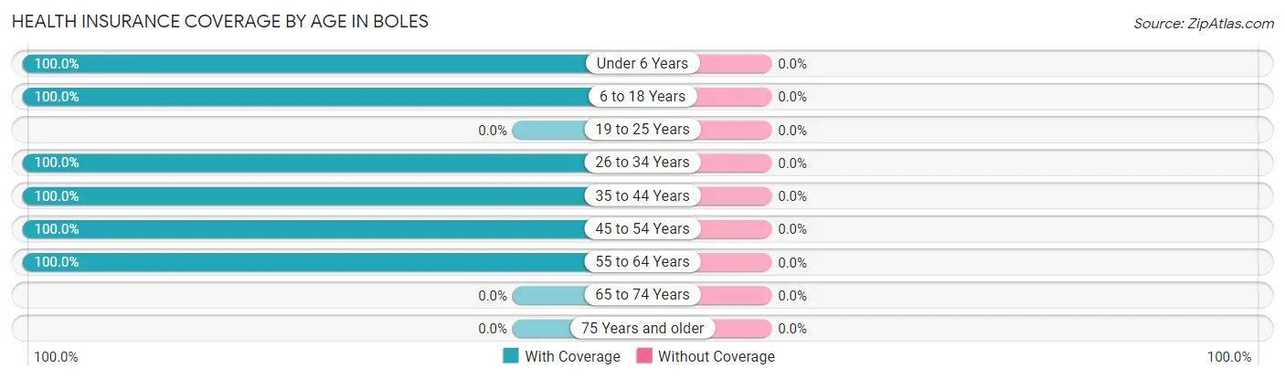 Health Insurance Coverage by Age in Boles
