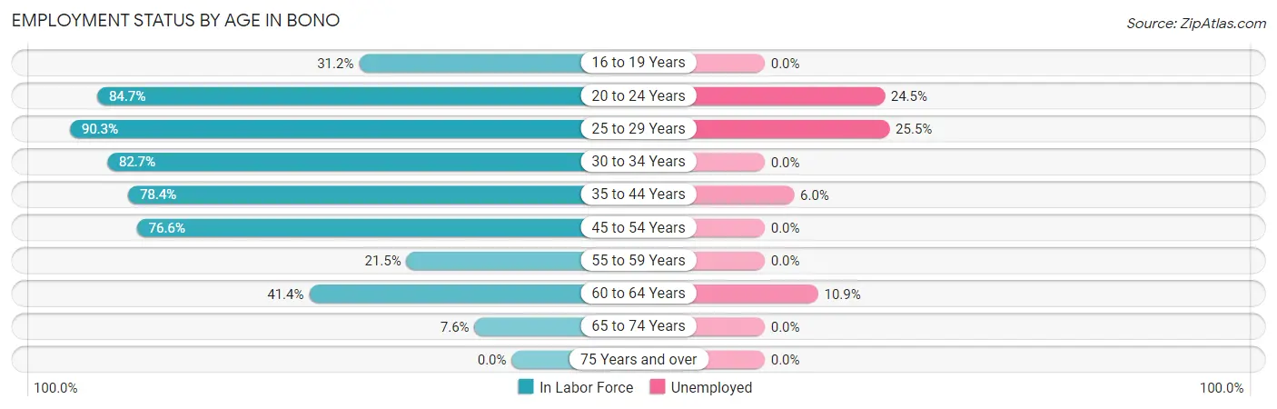 Employment Status by Age in Bono
