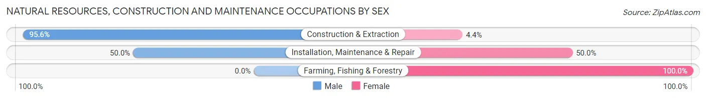 Natural Resources, Construction and Maintenance Occupations by Sex in Bono