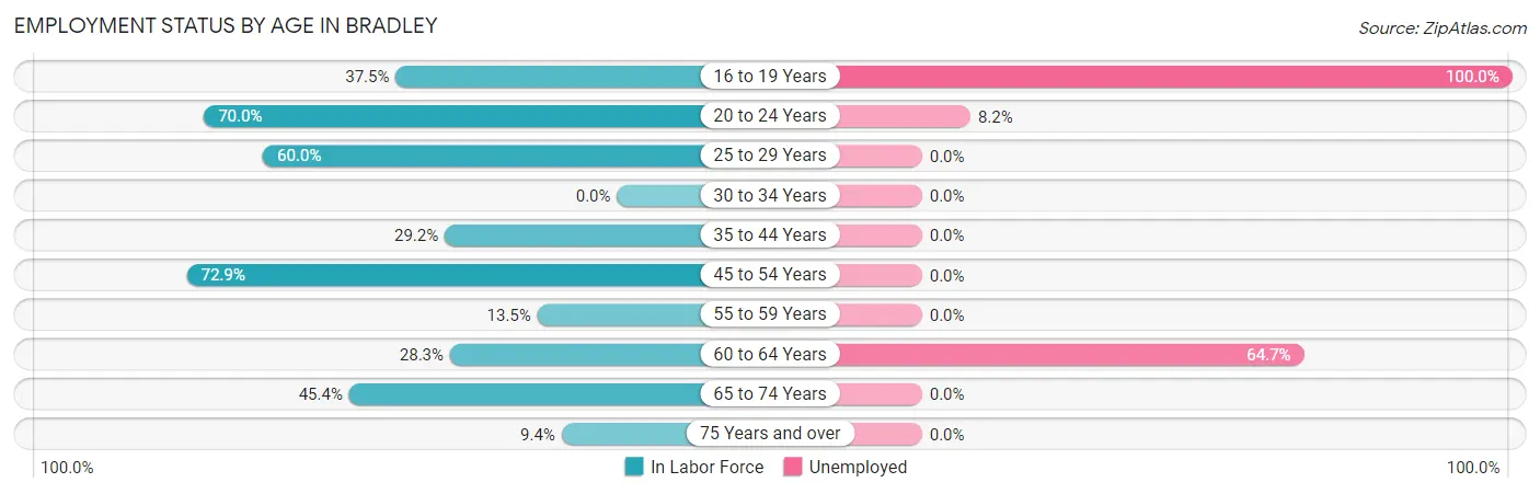 Employment Status by Age in Bradley