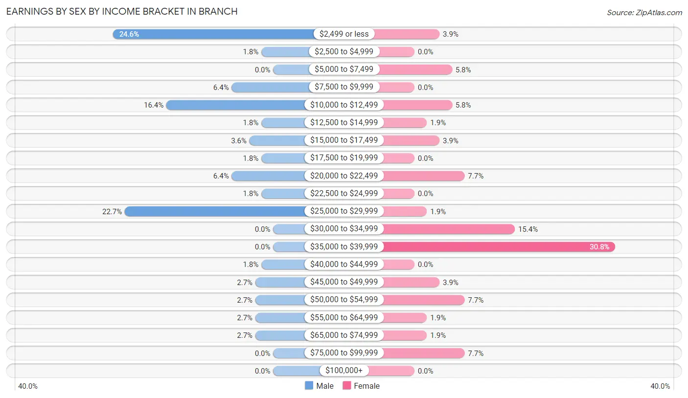 Earnings by Sex by Income Bracket in Branch