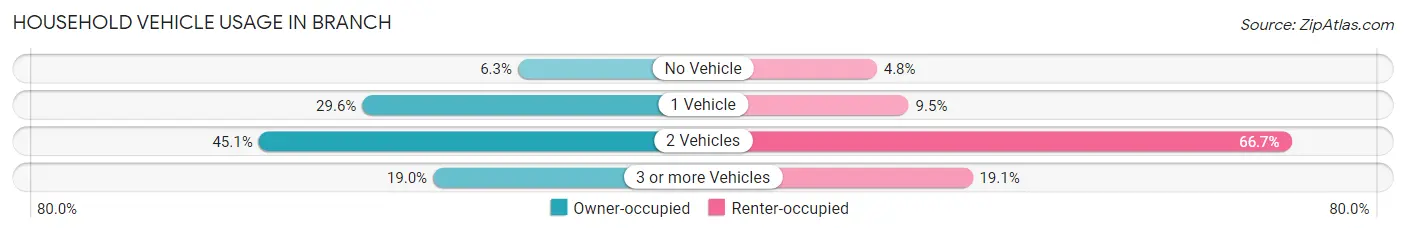 Household Vehicle Usage in Branch