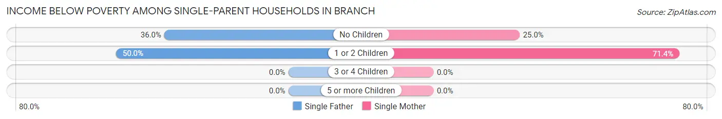 Income Below Poverty Among Single-Parent Households in Branch