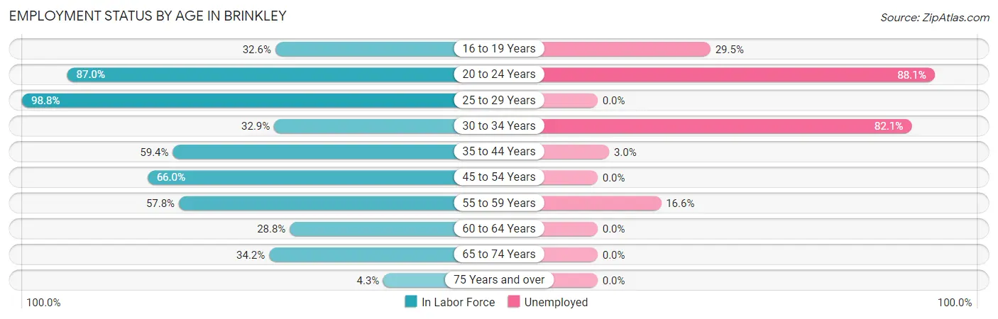 Employment Status by Age in Brinkley