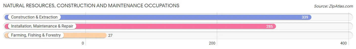 Natural Resources, Construction and Maintenance Occupations in Bryant