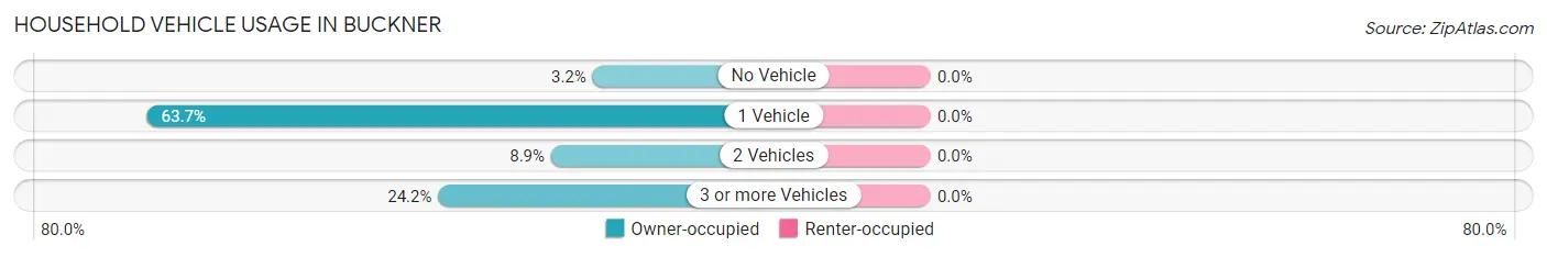 Household Vehicle Usage in Buckner