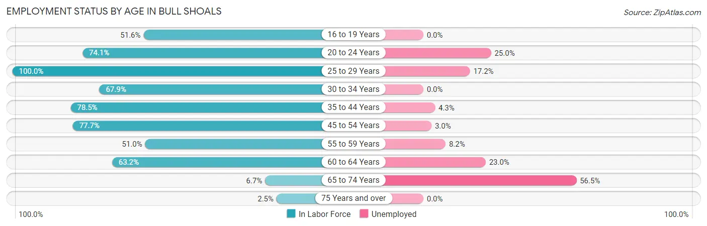 Employment Status by Age in Bull Shoals