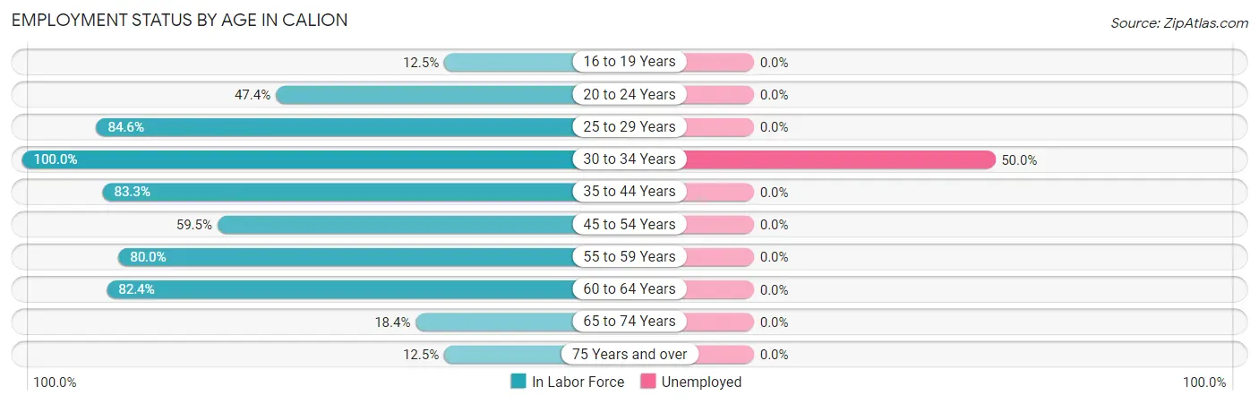 Employment Status by Age in Calion