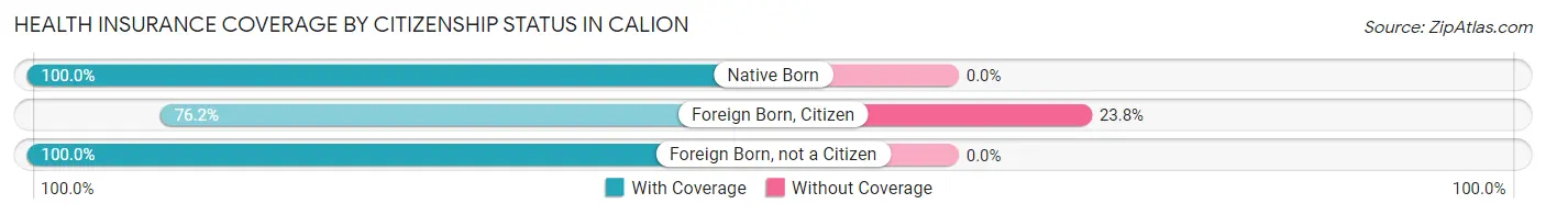 Health Insurance Coverage by Citizenship Status in Calion