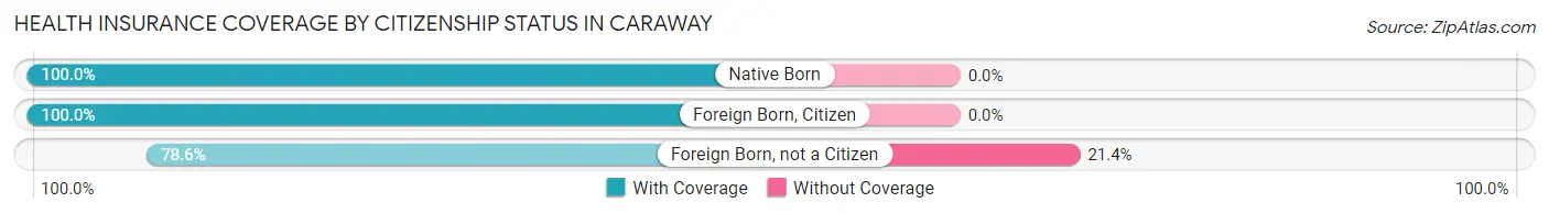 Health Insurance Coverage by Citizenship Status in Caraway