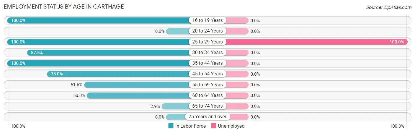 Employment Status by Age in Carthage