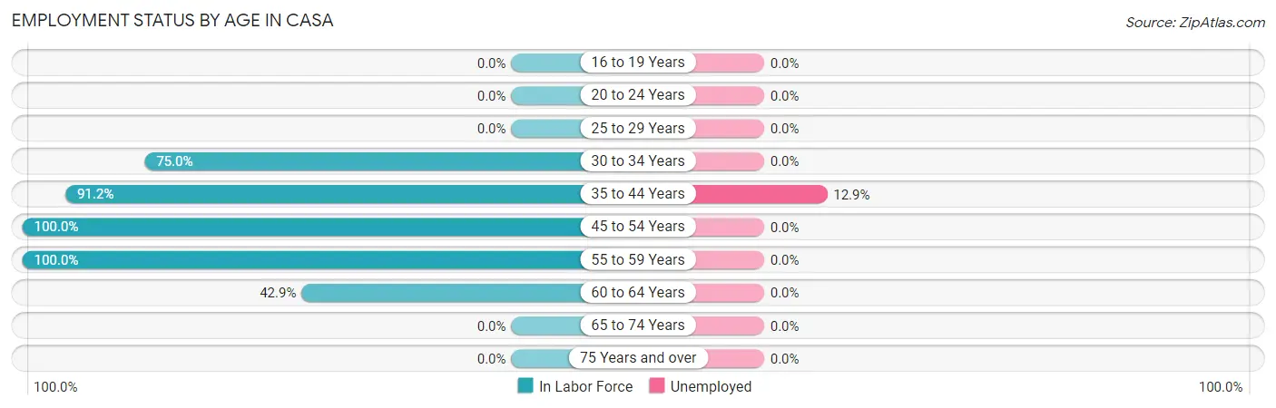 Employment Status by Age in Casa