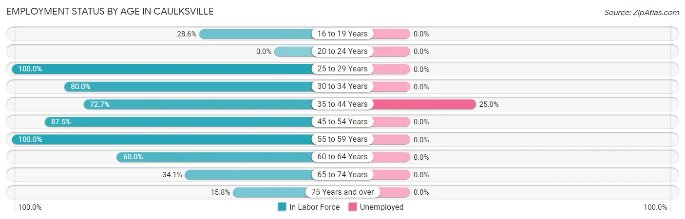 Employment Status by Age in Caulksville