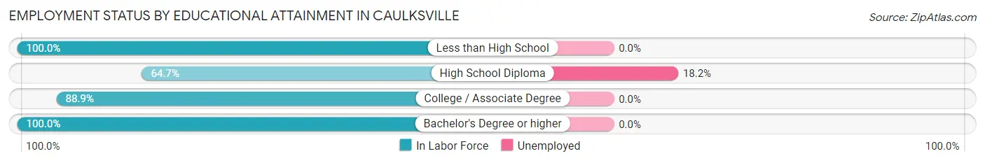 Employment Status by Educational Attainment in Caulksville