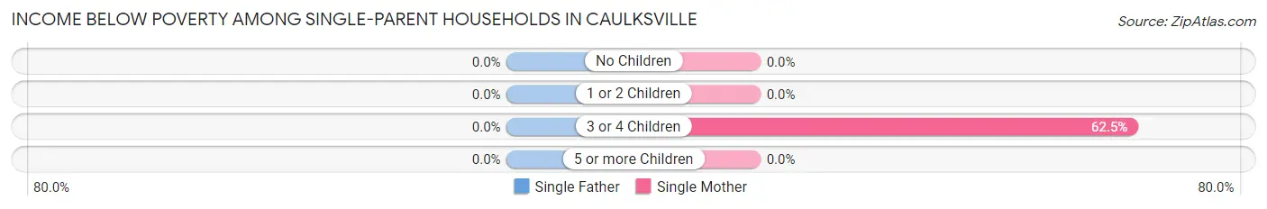 Income Below Poverty Among Single-Parent Households in Caulksville
