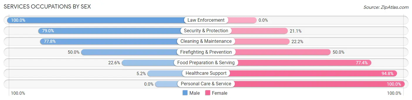 Services Occupations by Sex in Cave City