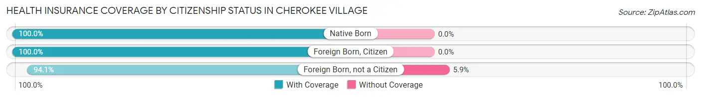 Health Insurance Coverage by Citizenship Status in Cherokee Village