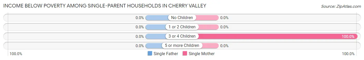 Income Below Poverty Among Single-Parent Households in Cherry Valley