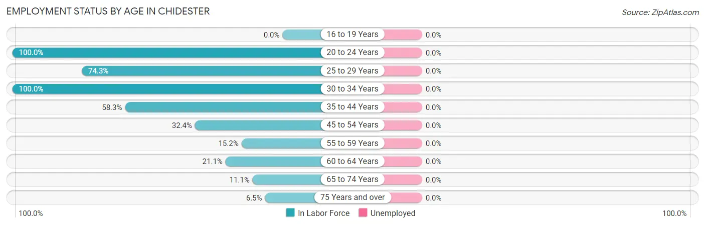 Employment Status by Age in Chidester