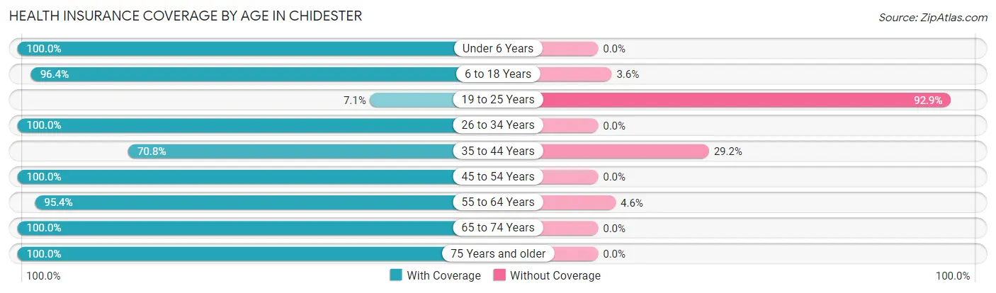 Health Insurance Coverage by Age in Chidester