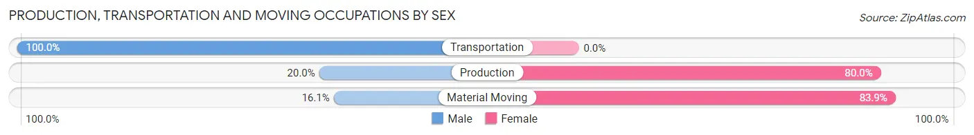 Production, Transportation and Moving Occupations by Sex in Chidester