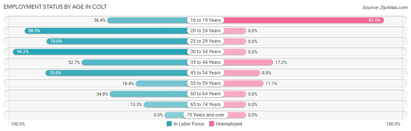 Employment Status by Age in Colt