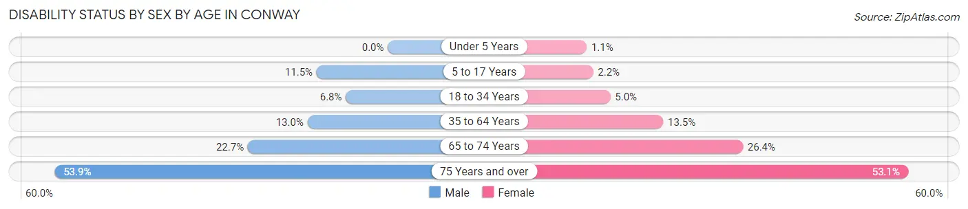 Disability Status by Sex by Age in Conway