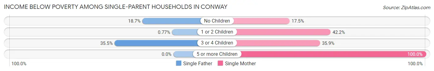 Income Below Poverty Among Single-Parent Households in Conway