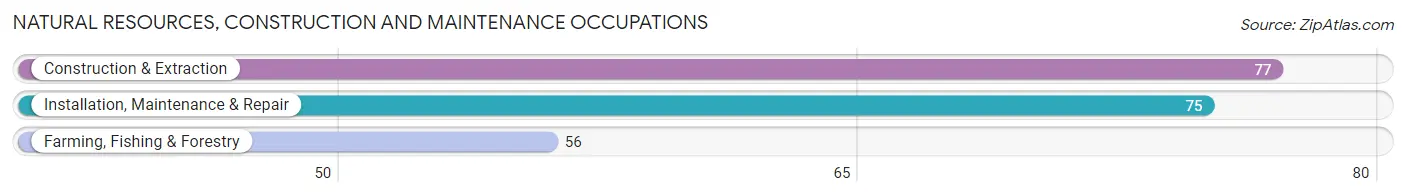 Natural Resources, Construction and Maintenance Occupations in Corning