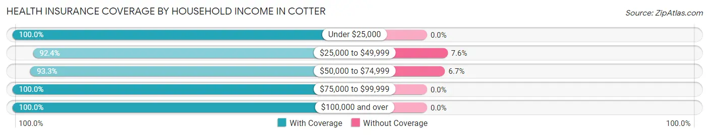 Health Insurance Coverage by Household Income in Cotter