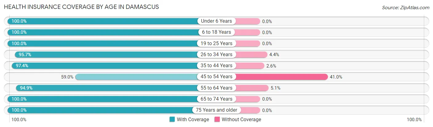Health Insurance Coverage by Age in Damascus