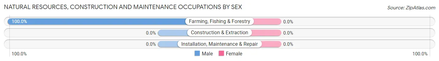 Natural Resources, Construction and Maintenance Occupations by Sex in De Valls Bluff