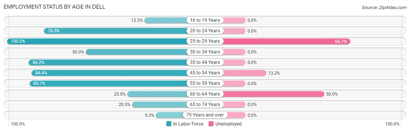 Employment Status by Age in Dell