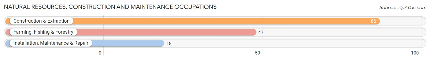 Natural Resources, Construction and Maintenance Occupations in DeWitt