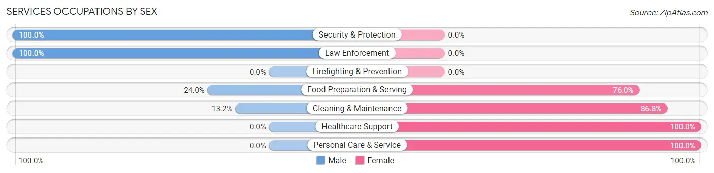 Services Occupations by Sex in Diamond City