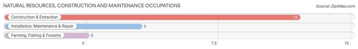 Natural Resources, Construction and Maintenance Occupations in Donaldson