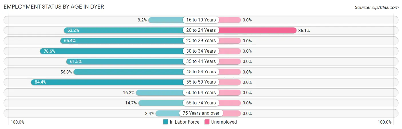Employment Status by Age in Dyer