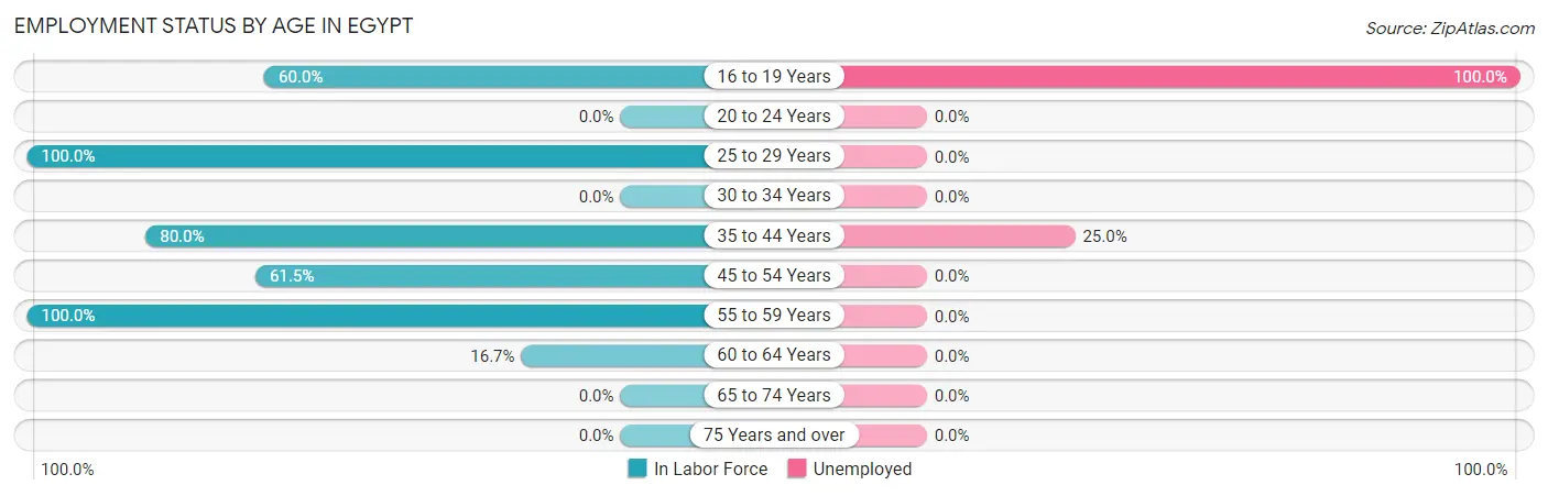 Employment Status by Age in Egypt