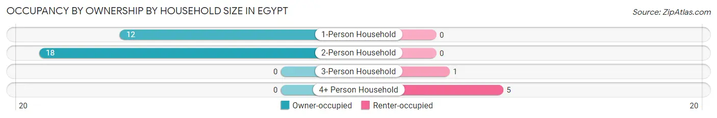 Occupancy by Ownership by Household Size in Egypt