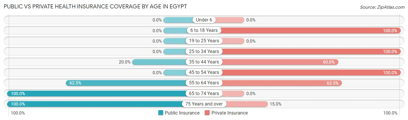 Public vs Private Health Insurance Coverage by Age in Egypt