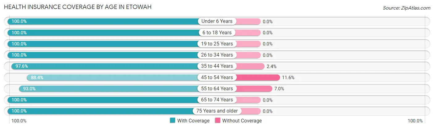 Health Insurance Coverage by Age in Etowah