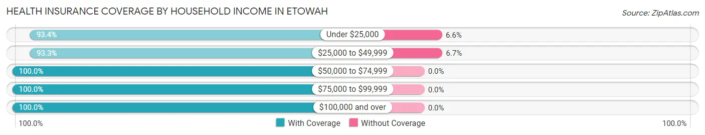 Health Insurance Coverage by Household Income in Etowah