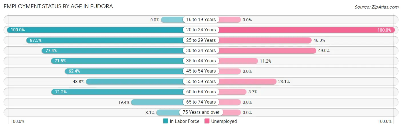 Employment Status by Age in Eudora