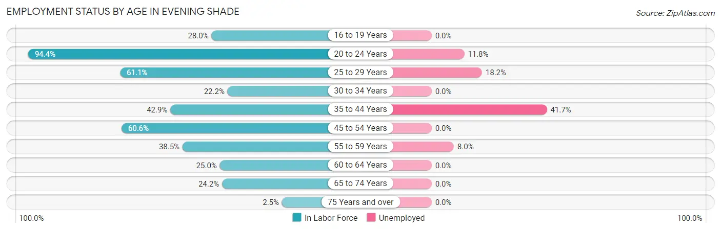 Employment Status by Age in Evening Shade