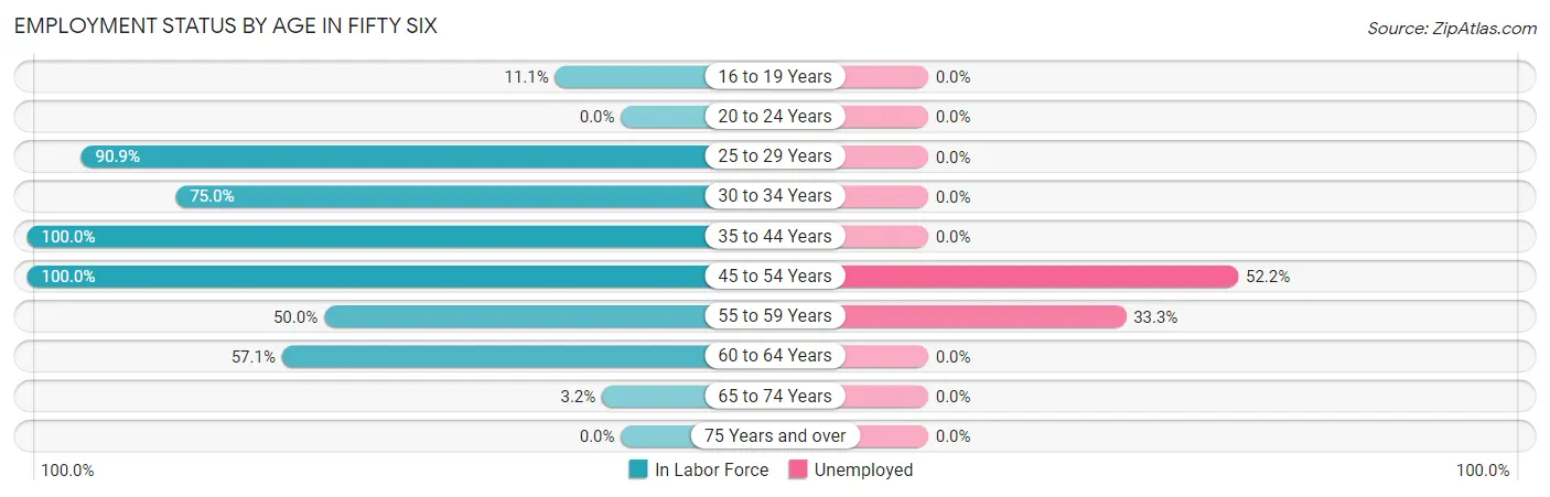 Employment Status by Age in Fifty Six
