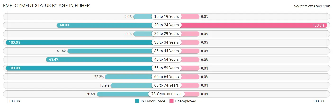 Employment Status by Age in Fisher